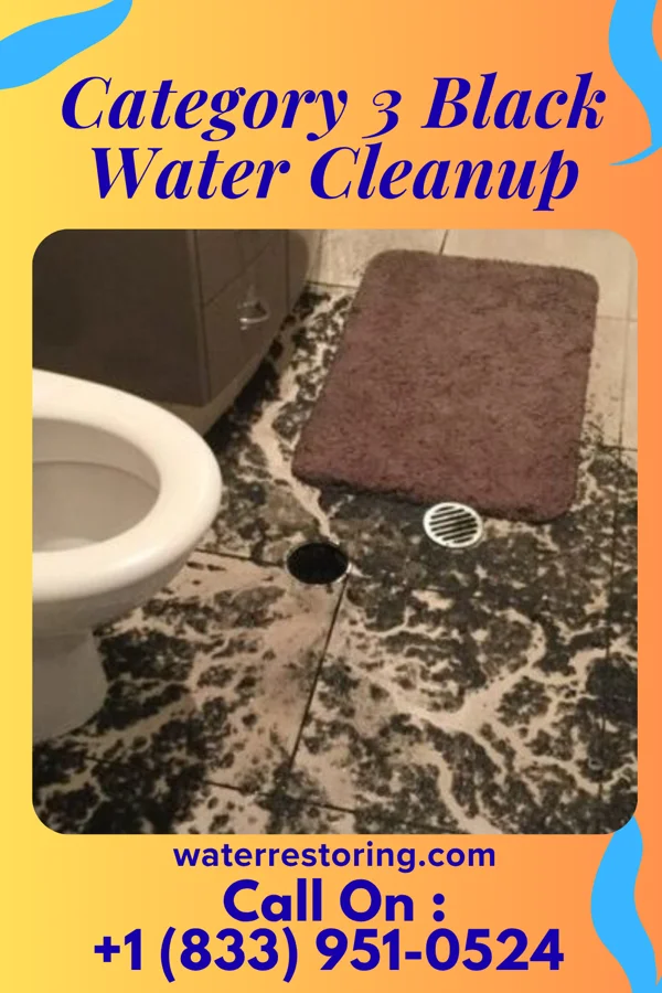 Category 3 Black Water Cleanup in Stow, OH
