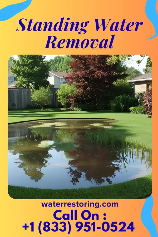 Standing Water Removal in Stow, OH